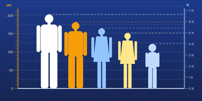 Five people of different heights standing beside a centimeter and feet ruler on one shared scale